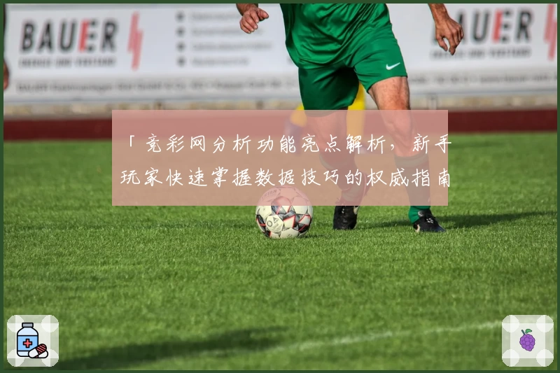 「竞彩网分析功能亮点解析，新手玩家快速掌握数据技巧的权威指南」