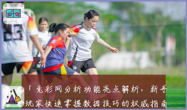 「竞彩网分析功能亮点解析，新手玩家快速掌握数据技巧的权威指南」