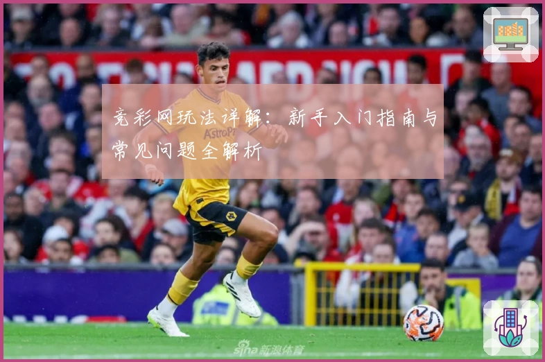 竞彩网玩法详解：新手入门指南与常见问题全解析