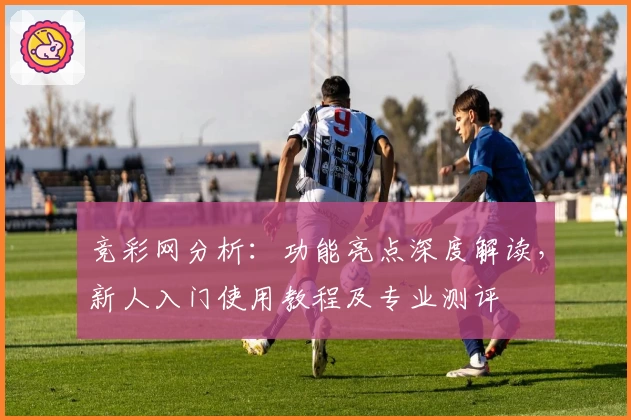 竞彩网分析：功能亮点深度解读，新人入门使用教程及专业测评