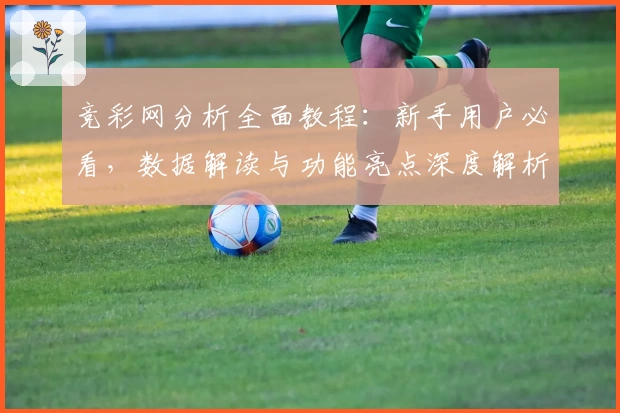 竞彩网分析全面教程：新手用户必看，数据解读与功能亮点深度解析